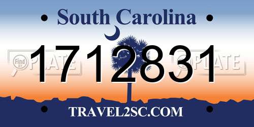 1712831 South Carolina License Plate