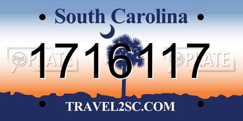 1716117 South Carolina License Plate