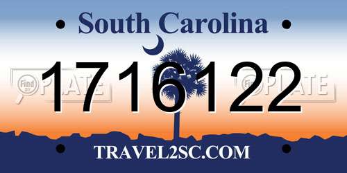 1716122 South Carolina License Plate
