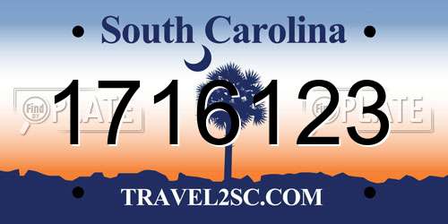 1716123 South Carolina License Plate