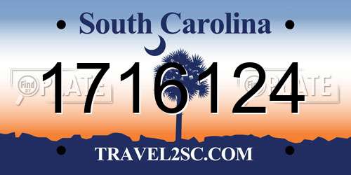 1716124 South Carolina License Plate