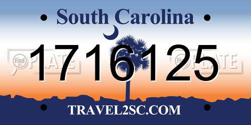 1716125 South Carolina License Plate