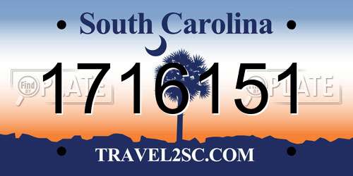 1716151 South Carolina License Plate
