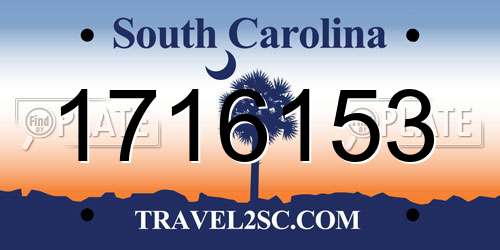 1716153 South Carolina License Plate
