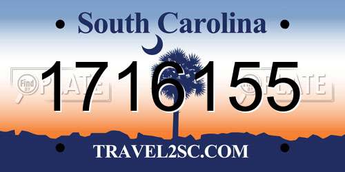 1716155 South Carolina License Plate