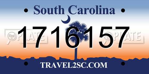 1716157 South Carolina License Plate