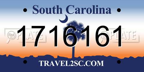 1716161 South Carolina License Plate