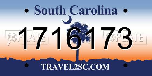 1716173 South Carolina License Plate