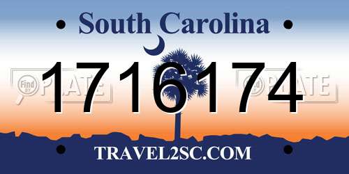 1716174 South Carolina License Plate