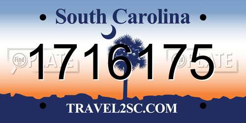 1716175 South Carolina License Plate