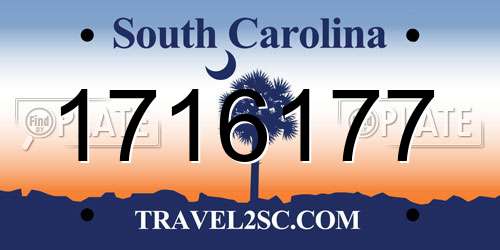 1716177 South Carolina License Plate