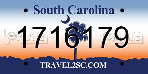1716179 South Carolina License Plate