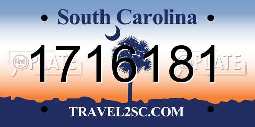 1716181 South Carolina License Plate