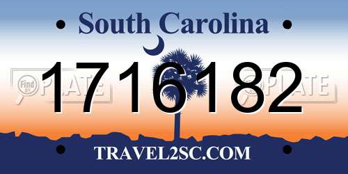 1716182 South Carolina License Plate