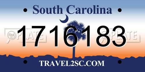 1716183 South Carolina License Plate
