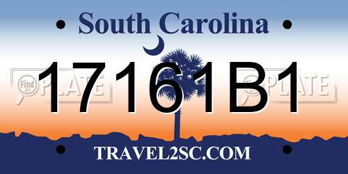 17161B1 South Carolina License Plate