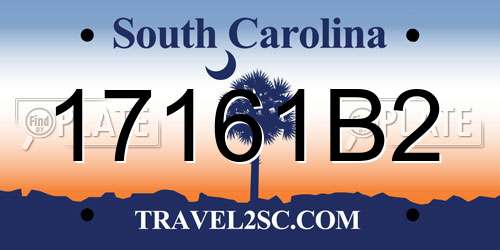 17161B2 South Carolina License Plate