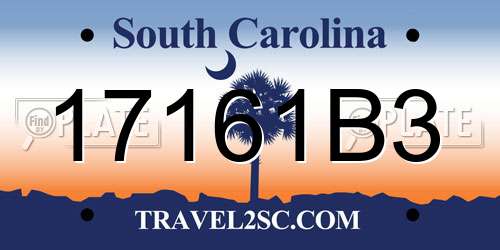 17161B3 South Carolina License Plate
