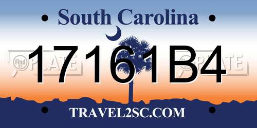 17161B4 South Carolina License Plate