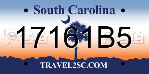 17161B5 South Carolina License Plate