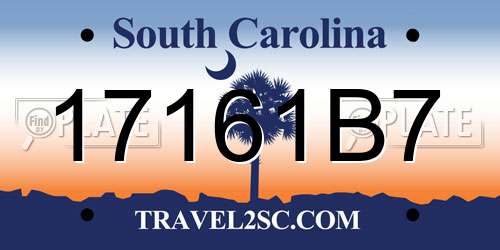 17161B7 South Carolina License Plate