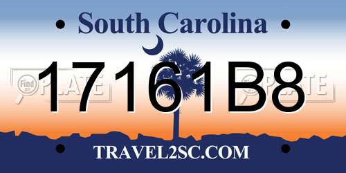 17161B8 South Carolina License Plate
