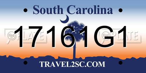 17161G1 South Carolina License Plate