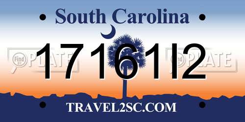 17161I2 South Carolina License Plate