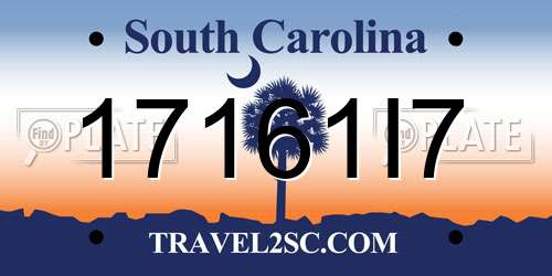 17161I7 South Carolina License Plate