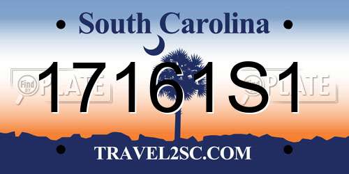 17161S1 South Carolina License Plate