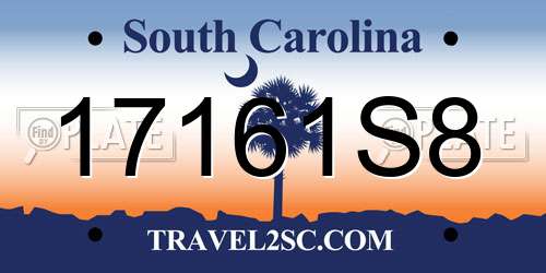 17161S8 South Carolina License Plate