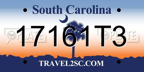 17161T3 South Carolina License Plate