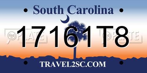 17161T8 South Carolina License Plate