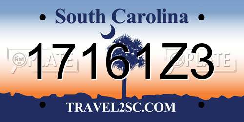 17161Z3 South Carolina License Plate