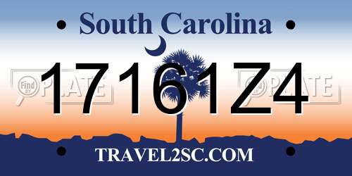 17161Z4 South Carolina License Plate