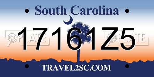 17161Z5 South Carolina License Plate