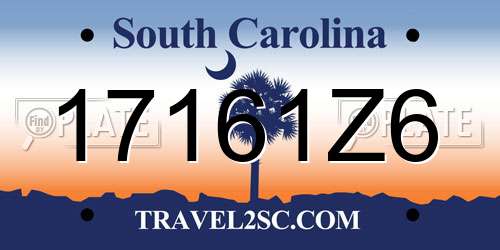17161Z6 South Carolina License Plate