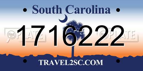 1716222 South Carolina License Plate