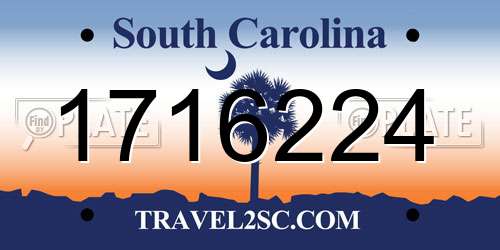 1716224 South Carolina License Plate
