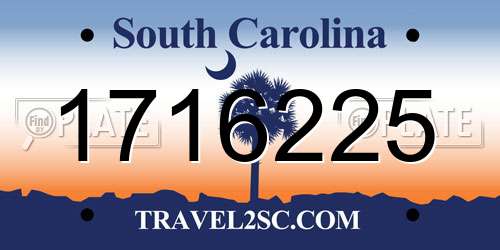 1716225 South Carolina License Plate