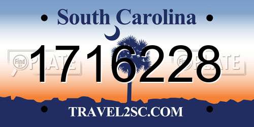 1716228 South Carolina License Plate