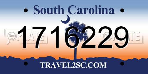 1716229 South Carolina License Plate