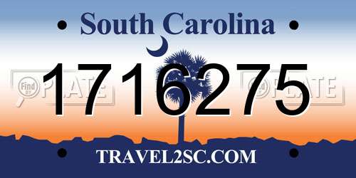 1716275 South Carolina License Plate
