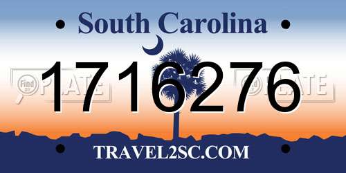 1716276 South Carolina License Plate