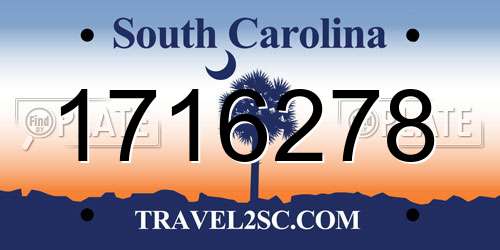 1716278 South Carolina License Plate