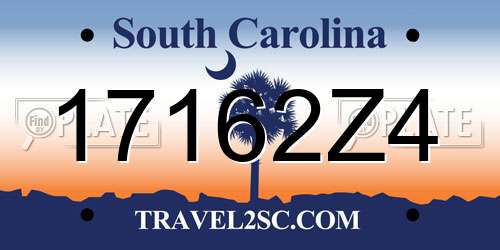 17162Z4 South Carolina License Plate