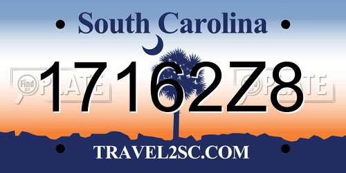 17162Z8 South Carolina License Plate