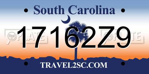 17162Z9 South Carolina License Plate