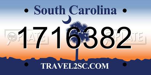1716382 South Carolina License Plate