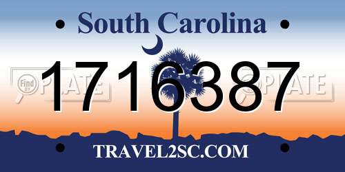 1716387 South Carolina License Plate